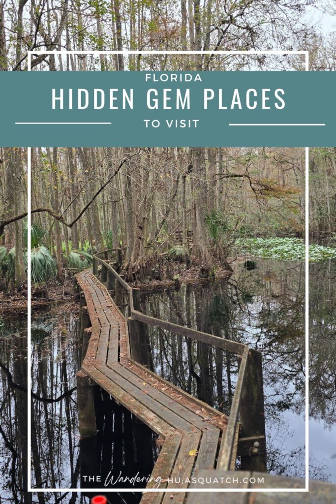 HIGHLANDS HAMMOCK STATE PARK PINTEREST PIN