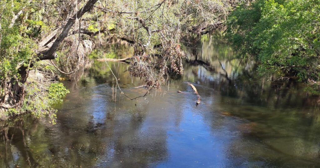 HILLSBOROUGH RIVER STATE PARK THIS IS AN IMAGE OF THE HILLSBOROUGH RIVER