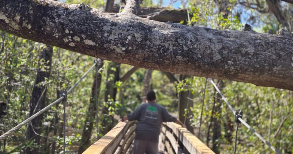THIS IS AN IMAGE AT HILLSBOROUGH RIVER STATE PARK MAN ON SUSPENSION BRIDGE