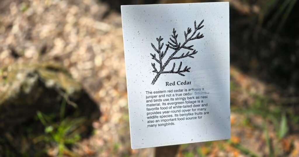 HILLSBOROUGH RIVER STATE PARK THIS IS AN IMAGE OF A PLANT SIGN ON A TRAIL