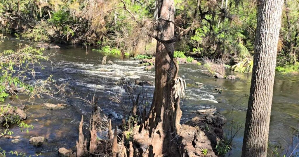 HILLSBOROUGH RIVER STATE PARK THIS IS AN IMAGE OF THE RAPIDS