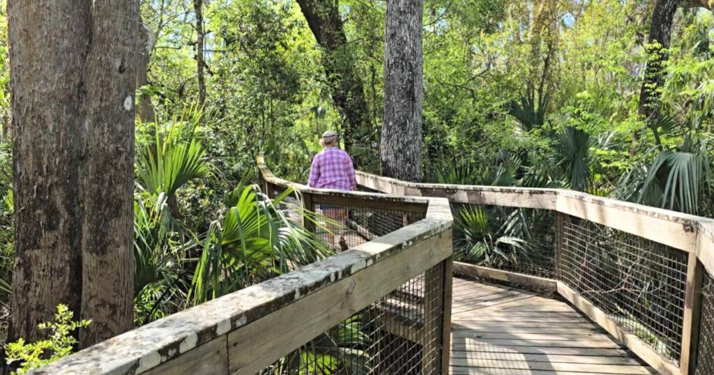 HILLSBOROUGH RIVER STATE PARK THIS IS AN IMAGE OF A WOMAN ON A BRIDGE