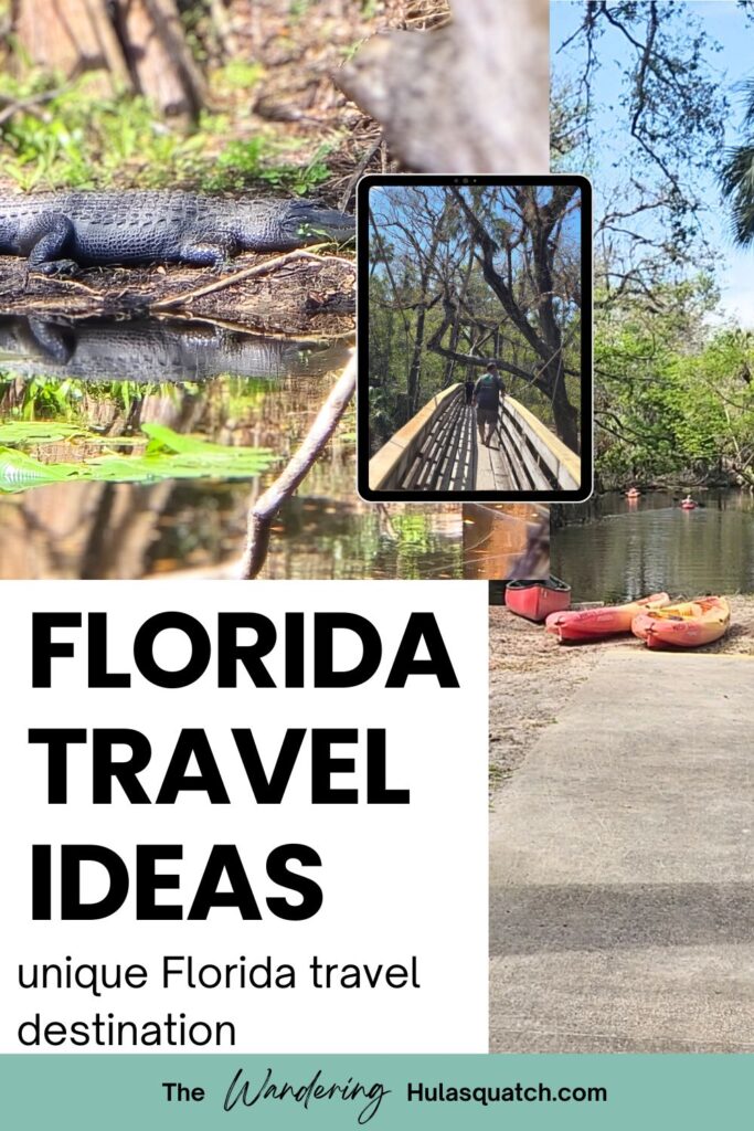 this is an image of a Pinterest pin for Florida travel Hillsborough river state park