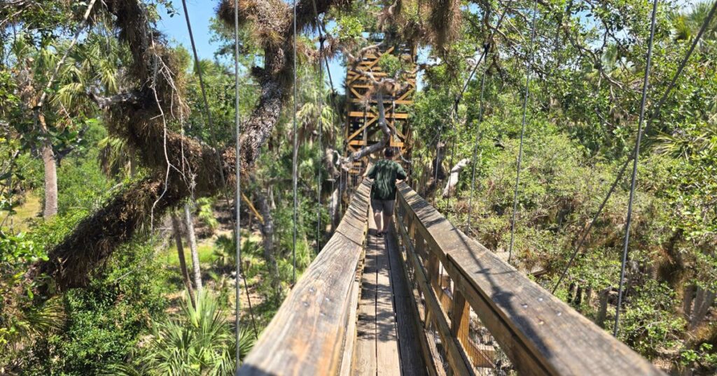 Ultimate Guide to Florida State Parks THIS IS AN IMAGE OF SUSPENSION BRIDGE