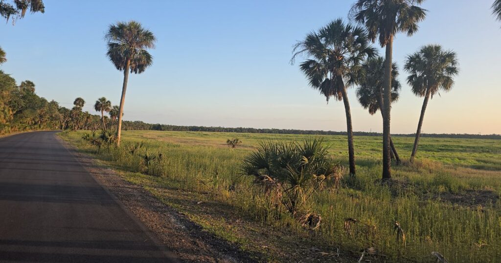 MYAKKA RIVER STATE PARK THIS IS AN IMAGE OF THE PRAIRIE