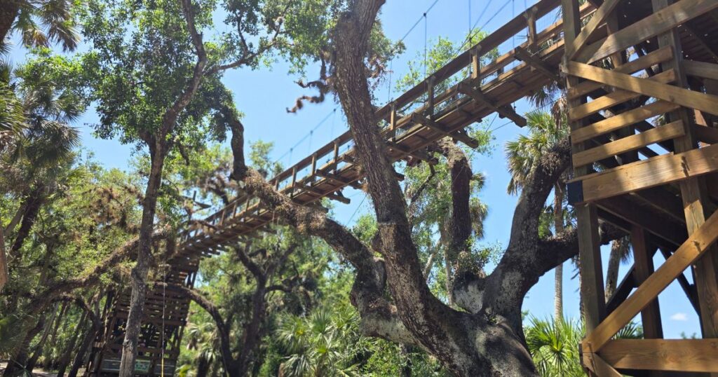 MYAKKA RIVER STATE PARK THIS IS AN IMAGE OF THE SUSPENSION BRIDGE