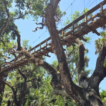 myakka river state park suspension bridge