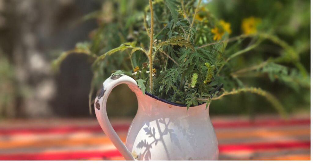 THIS IS AN IMAGE OF FRESH WILD FLOWERS CAMPING ON A PICNIC TABLE