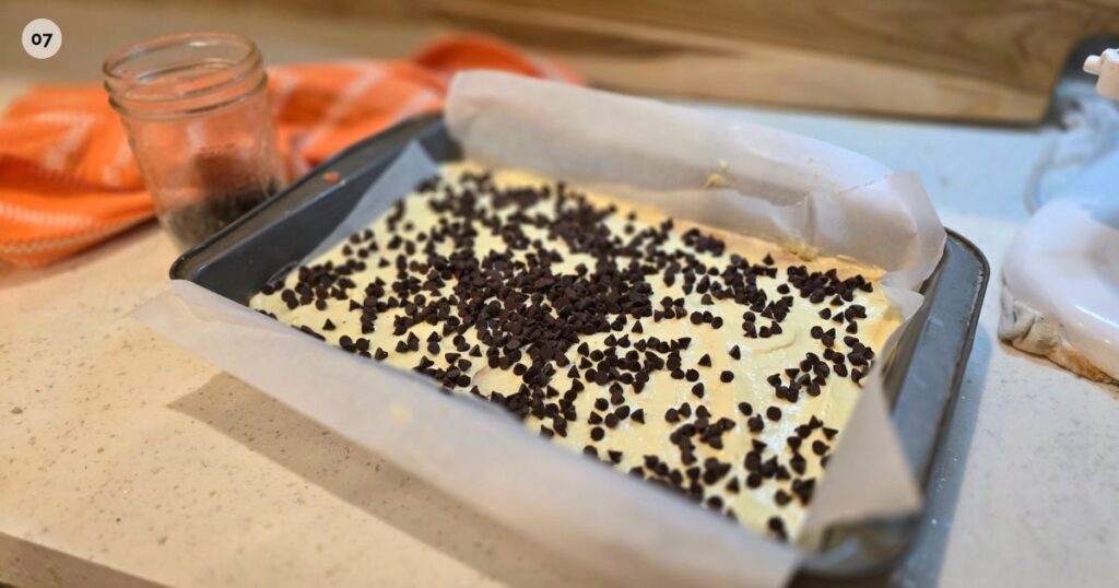 THIS IS AN IMAGE OF THE MINI CHOCOLATE CHIPS ON THE FILLING LAYES OF THESE S'MORE BARS