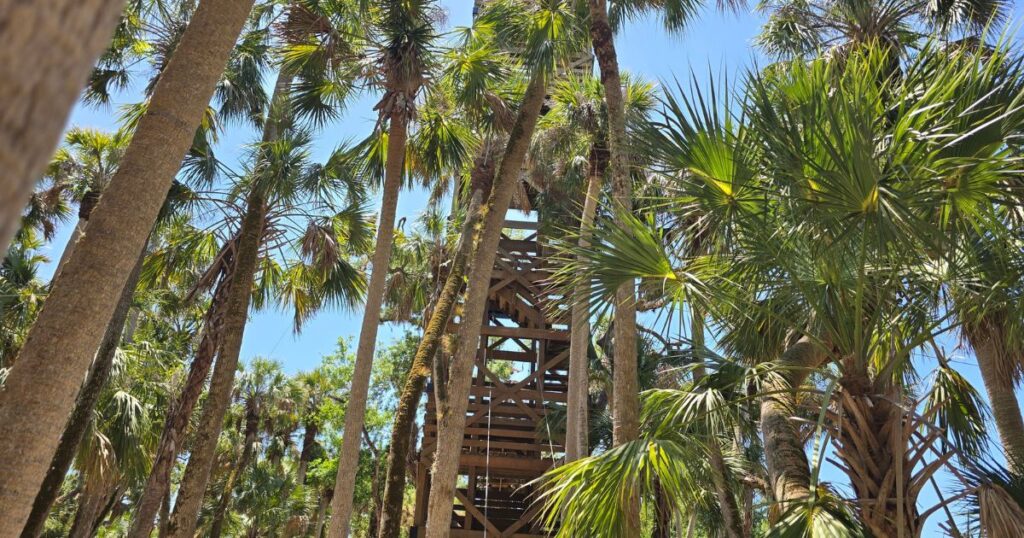 Ultimate Guide to Florida State Parks this is an image of a tower