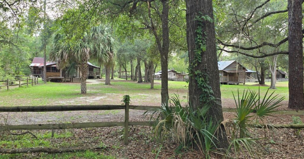Secluded forest cabins surrounded by lush trees and greenery, perfect for nature and adventure lovers.