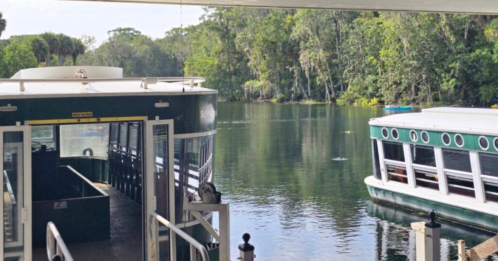 Silver Springs glass bottom boat tours DOCK AT SPRINGS