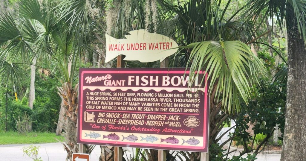 Giant fish bowl sign with underwater walk warning among tropical plants Fish bowl advertisement for Florida attractions and marine wildlife viewing experiences.