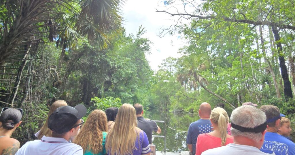 Lush mangrove swamp tour in Florida with diverse group of tourists exploring nature.