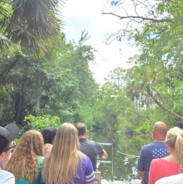 Lush mangrove swamp tour in Florida with diverse group of tourists exploring nature.