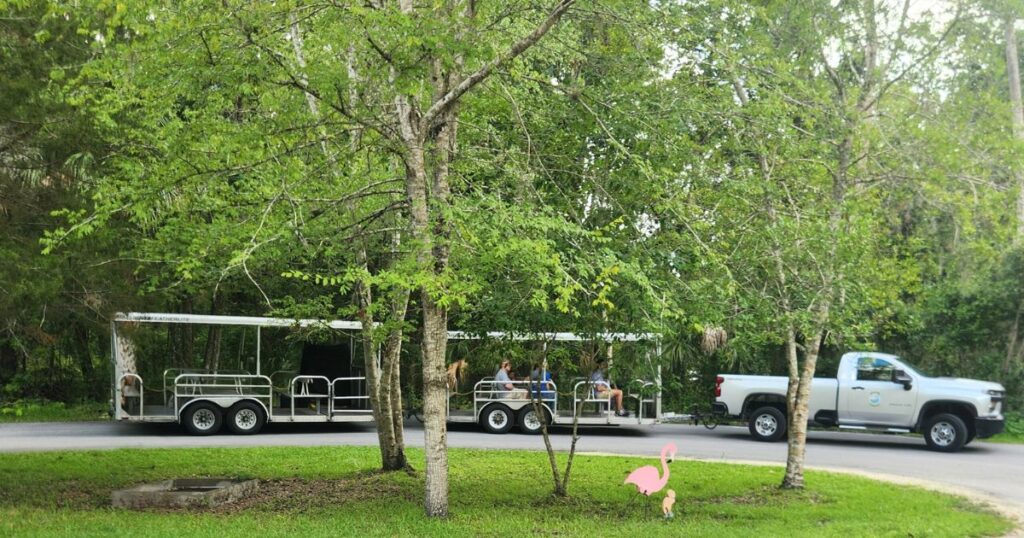 Nature tour tractor trailer with tourists in lush green forest setting in Florida.