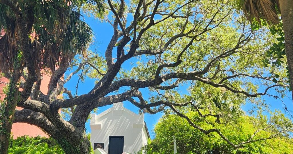 Best places to visit in Jupiter Florida LIGHTHOUSE KEEPER'S COTTAGE