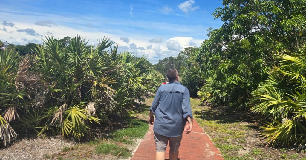 Vegan hiking trail through lush tropical jungle, adventure, nature, exploration, outdoor activity, Hawaii.