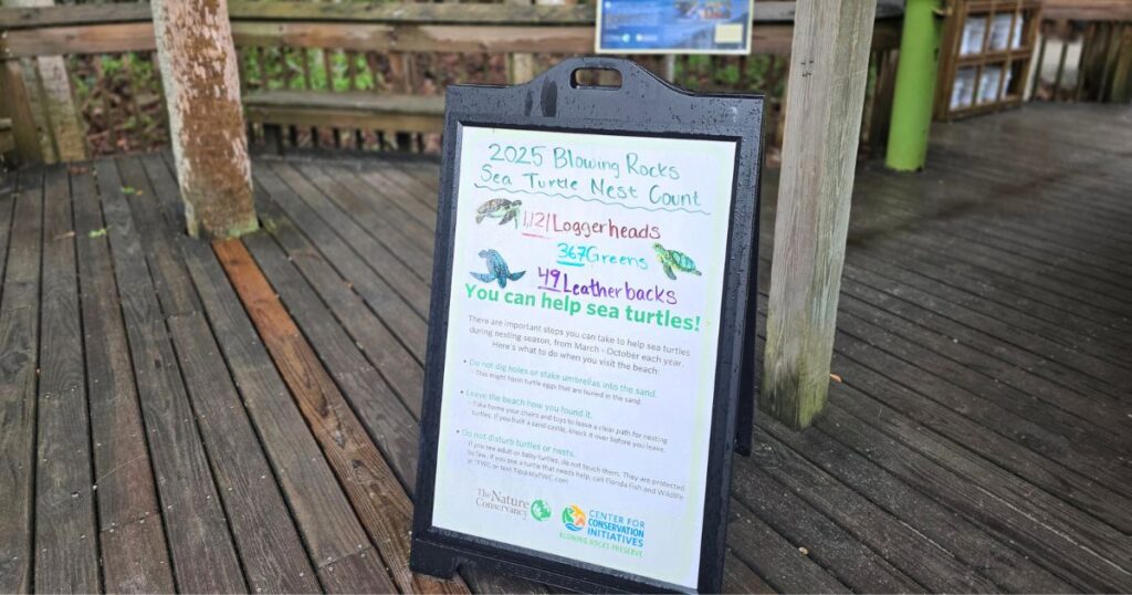 Sea turtle nesting in Jupiter FL SEA TURTLE HATCHING SIGN