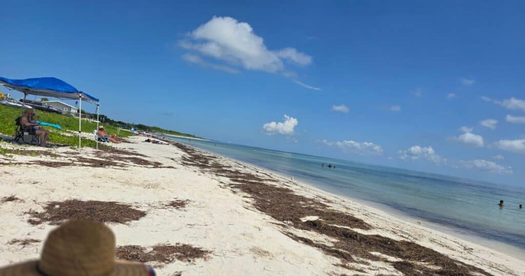 Relaxing day at the sandy beach with clear blue water and ocean views in Hawaii.