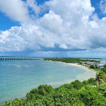 Vibrant coastal view of turquoise ocean, lush green trees, and a clear blue sky with fluffy clouds, featuring The Wandering Hulasquatch logo.