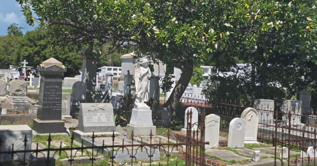 Graveyard scene with tombstones and a statue under a large tree, peaceful and reflective atmosphere.