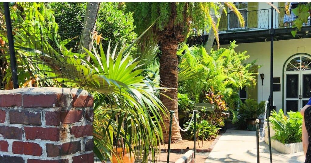 Lush tropical garden with vibrant plants and palm trees at The Wandering Hulasquatch.