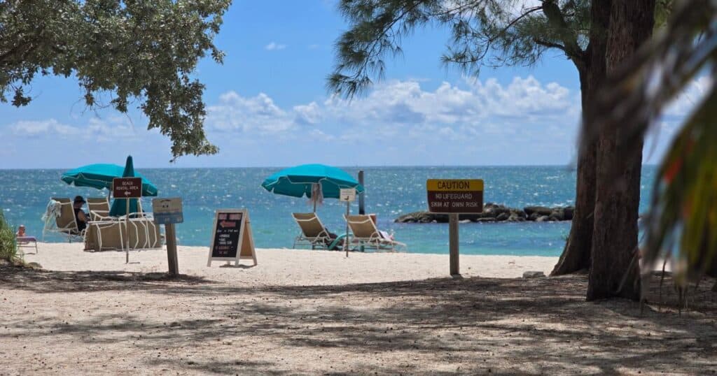Beach scene with umbrellas and lounge chairs, tropical coastal scenery, relaxing seaside destination.