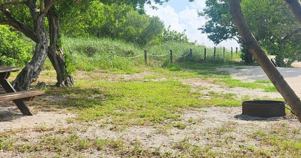 CURRY HAMMOCK STATE PARK | FLORIDA KEYS GUIDE BEACH FRONT FIREPIT