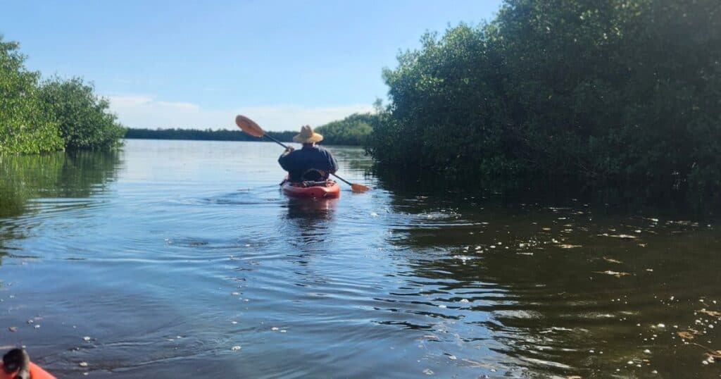 FLORIDA FAMILY TRAVEL DESTINATIONS KAYAKING CURRY HAMMOCK MANGROVES