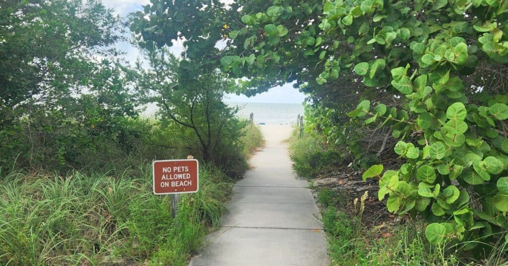 CURRY HAMMOCK STATE PARK | FLORIDA KEYS GUIDE PATH TO BEACH