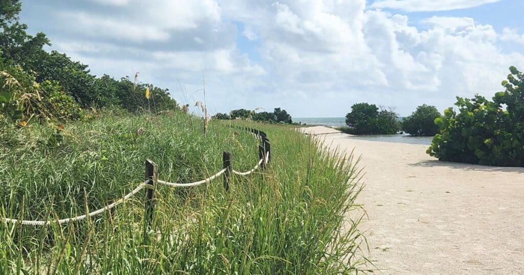 FLORIDA DESTINATIONS CURRY HAMMOCK HIKING TRAIL ON THE BEACH