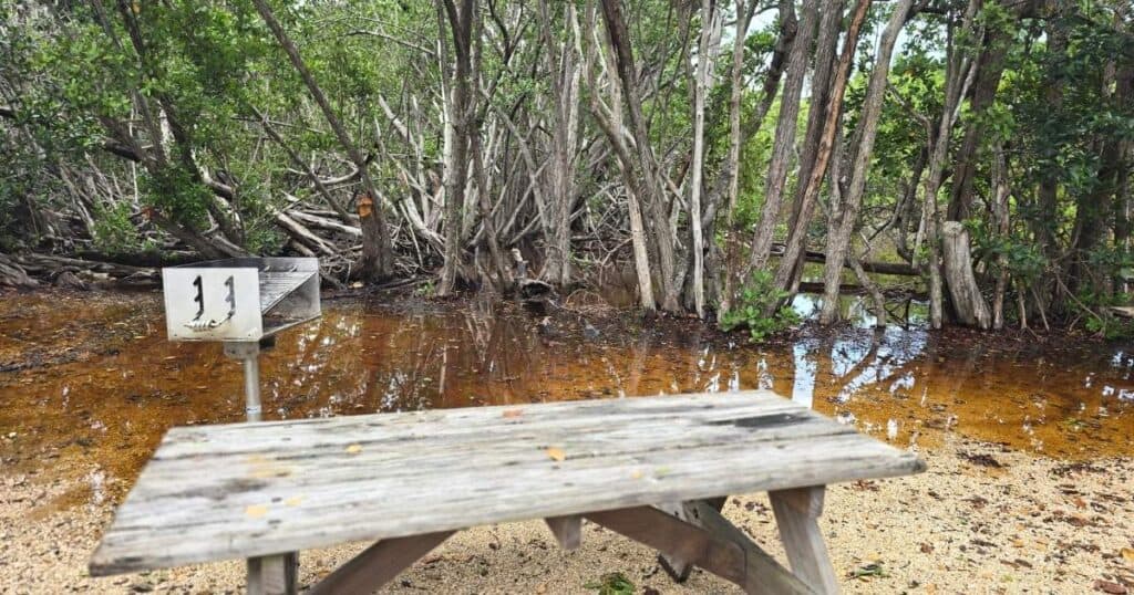 FLOODED CAMPSITE AT JOHN PENNEKAMP
