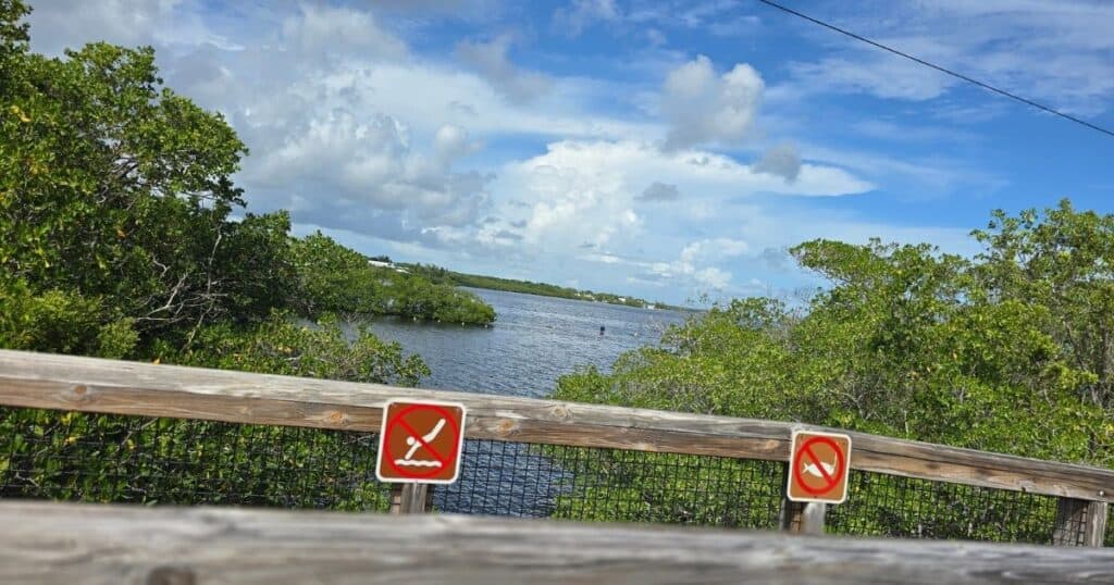 Florida Keys state park kayaking at John Pennekamp
